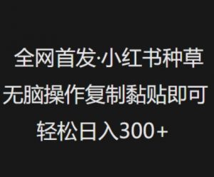 全网首发，小红书种草无脑操作，复制黏贴即可，轻松日入3张-风淘社