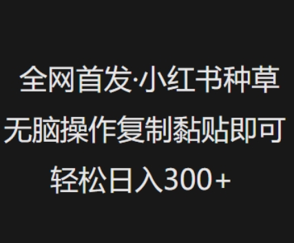 全网首发,小红书种草无脑操作,复制黏贴即可,轻松日入3张-风淘社