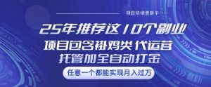 25年推荐这10个副业项目包含褂鸡类、代运营托管类、全自动打金类【揭秘】-风淘社