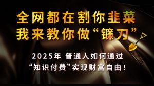 全网都在割你韭菜,我来教你做镰刀,2025普通人如何通过知识付费,实现财F自由【揭秘】-风淘社