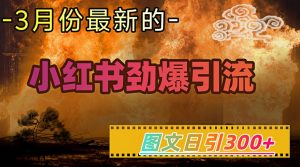 小红书超劲爆引流手段,图文日引300+轻松变现1W-风淘社