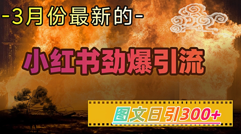 小红书超劲爆引流手段,图文日引300+轻松变现1W-风淘社