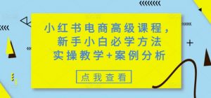 小红书电商高级课程,新手小白必学方法,实操教学+案例分析-风淘社