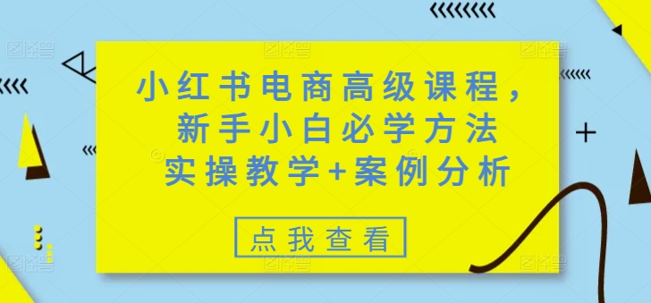小红书电商高级课程,新手小白必学方法,实操教学+案例分析-风淘社