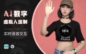 Ai数字人虚拟(智能体)实时语音交互特训营,自行定制超写实角色AI数字人交互技术-风淘社