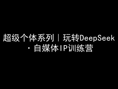 超级个体系列,玩转DeepSeek·自媒体IP训练营,deepseek教程-风淘社