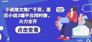 小说推文推广干货，蛋花小说3端平台同时做，火力全开-风淘社