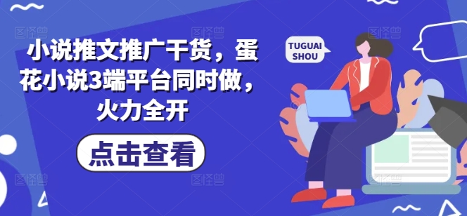 小说推文推广干货，蛋花小说3端平台同时做，火力全开-风淘社