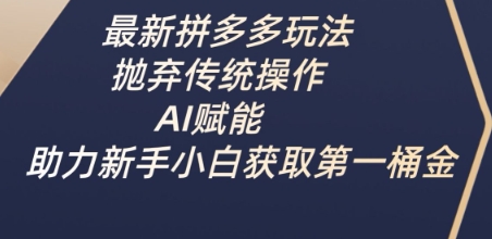 最新拼多多玩法，抛弃传统操作，AI赋能，助力新手小白获取第一桶金-风淘社