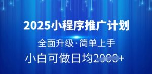 2025小程序推广计划,全面升级,简单上手,日均多张【揭秘】-风淘社