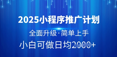 2025小程序推广计划,全面升级,简单上手,日均多张【揭秘】-风淘社