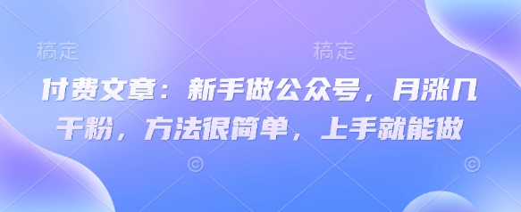 付费文章:新手做公众号,月涨几干粉,方法很简单,上手就能做-风淘社