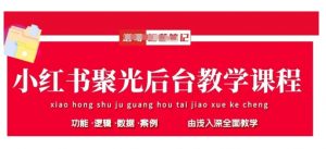 小红书聚光后台教学,小红书聚光投放的基本原理、策略和实践操作-风淘社