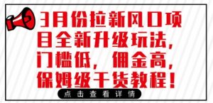 3月份拉新风口项目全新升级玩法，门槛低，佣金高，保姆级干货教程-风淘社
