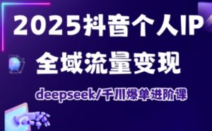 2025抖音个人IP全域流量变现进阶课,deepseek千川爆单进阶课-风淘社