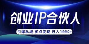 云帆·创业ip合伙人打造3.0,从0到1教你做网创,实现月入过W-风淘社