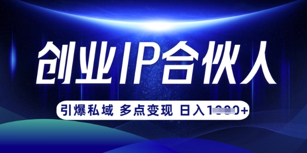云帆·创业ip合伙人打造3.0,从0到1教你做网创,实现月入过W-风淘社