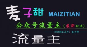 麦子甜2025公众号流量主全网最新玩法核心,手把手教学,成熟稳定,收益有保障-风淘社