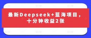 最新Deepseek+蓝海项目，十分钟收益2张-风淘社