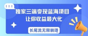 独家三端变现蓝海项目,让你收益最大化,长尾流无限躺挣-风淘社