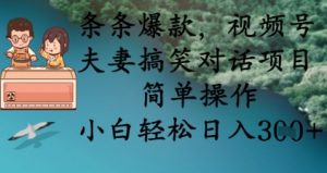 条条爆款,视频号夫妻搞笑对话项目,简单操作,小白轻松日入3张+-风淘社