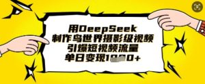 用DeepSeek制作鸟世界摄影级视频,引爆短视频流量,单日变现1k-风淘社