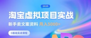 淘宝虚拟项目垂直玩法,新手卖文案资料,月入5k+-风淘社