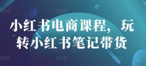 小红书电商课程,玩转小红书笔记带货-风淘社