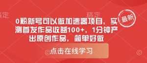 0粉新号可以做的加速器项目,实测首发作品收益100+,1分钟产出原创作品,简单好做-风淘社