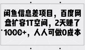 闲鱼信息差项目,百度网盘扩容1T空间,2天收益1k+,人人可做0成本-风淘社