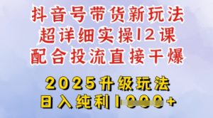 2025全新升级抖音带货玩法,一天纯利四位数,从剪辑到选品再到发布投流,超详细玩法揭秘-风淘社