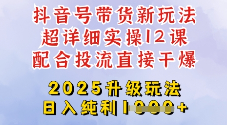 2025全新升级抖音带货玩法,一天纯利四位数,从剪辑到选品再到发布投流,超详细玩法揭秘-风淘社