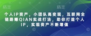 个人IP资产,小团队高变现,互联网全链路赚QIAN实战打法,助你打造个人IP,实现资产不断增值-风淘社