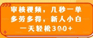 审核视频，几秒一单，多劳多得，新人小白一天轻松3张【揭秘】-风淘社