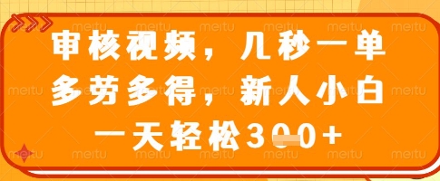 审核视频,几秒一单,多劳多得,新人小白一天轻松3张【揭秘】-风淘社