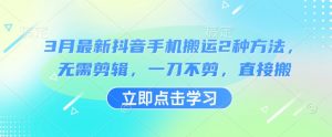 3月最新抖音手机搬运2种方法，无需剪辑，一刀不剪，直接搬-风淘社