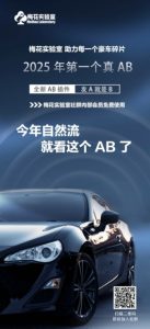 视频号连怼玩法-FFplug玩法AB插件使用+测素材教程-梅花实验室社群专享课-风淘社