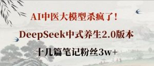 AI中医大模型杀疯了!DeepSeek中式养生2.0版本,十几篇笔记粉丝3w+-风淘社