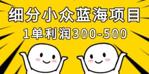 细分小众蓝海项目，一单利润3张，每月收入稳定过1w+-风淘社