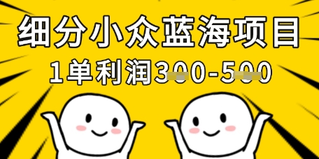 细分小众蓝海项目，一单利润3张，每月收入稳定过1w+-风淘社