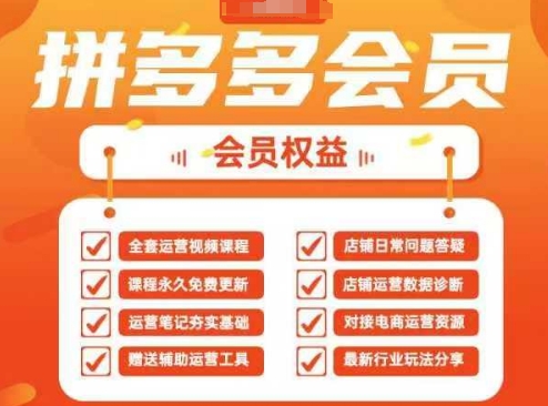 2025拼多多运营实战课，40节全流程教学，覆盖拼多多运营全链路-风淘社