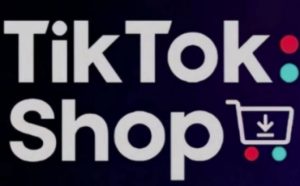 TikTokShop跨境电商0-1实战，手把手教你低成本启动海外市场-风淘社