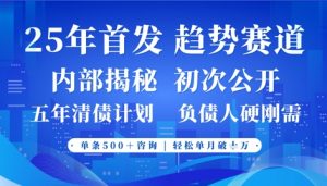 2025年首次公开,真正的事业型赛道,客咨不断,单月轻松破W-风淘社