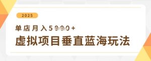 虚拟项目垂直玩法,实现单店月入5k+-风淘社