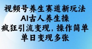 视频号养生赛道新玩法,AI古人养生操,疯狂引流变现,操作简单,单日变现多张-风淘社