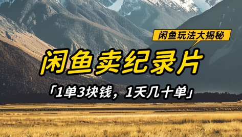 闲鱼卖纪录片1单3块钱,1天几十单,项目稳定有潜力-风淘社
