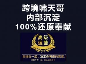 漫威跨境特训营-跨境电商教程-风淘社