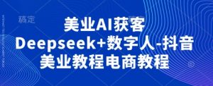 美业AI获客Deepseek+数字人-抖音美业教程电商教程-风淘社