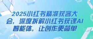 2025小红书精准获客大会,深度拆解小红书获课AI智能体,让创作更简单-风淘社
