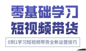 快手运营+高阶剪辑实战课,0到1学习短视频带货全新运营技巧-风淘社
